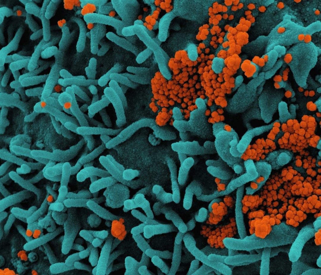 Oral Microbiome Imbalance: Signs, Causes, and Natural Ways to Restore It